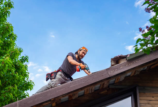 Best Gutter Installation and Repair  in Castle Hills, TX